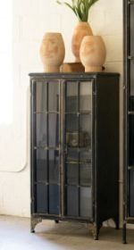 IRON AND GLASS TWO DOOR APOTHECARY CABINET