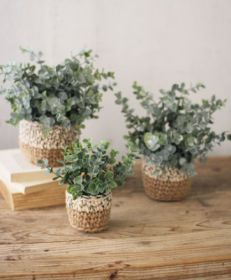 SET OF THREE ARTIFICIAL EUCALYPTUS PLANTS IN WOVEN POTS