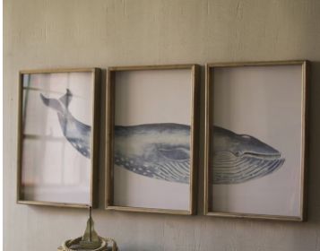 TRIPTYCH FRAMED WHALE PRINT UNDER GLASS