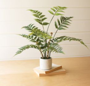ARTIFICIAL FERN IN A CEMENT POT