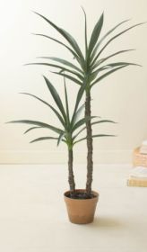ARTIFICIAL HENEKEN PLANT WITH FAUX TERRACOTTA POT