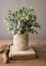 ARTIFICIAL SAGE WITH CRISS CROSS RUSTIC WHITE POT