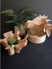 HAND-CARVED BLOOMING TEAK ROOT BOWL
