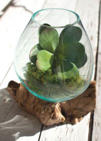 BLOWN GLASS BOWL ON DRIFTWOOD BASE - LARGE
