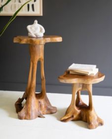 SET OF TWO ORGANIC TEAKWOOD ACCENT TABLES