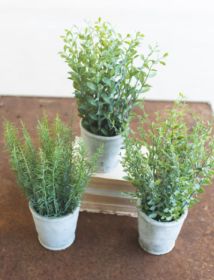 SET OF THREE ARTIFIAL HERBS IN CEMENT POTS