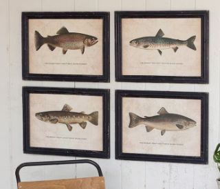SET OF FOUR TROUT PRINTS UNDER GLASS