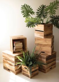 SET OF SIX RECYLED PINE DISPLAY CUBES