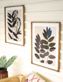 SET OF TWO LEAF PRINTS UNDER GLASS WITH NATURAL FRAME