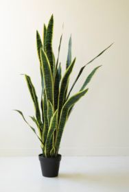 ARTIFICAL MOTHER-IN-LAW TOUNGE IN BLACK PLASTIC POT