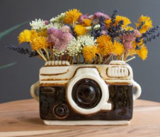 CERAMIC CAMERA PLANTER (Color: Multi)